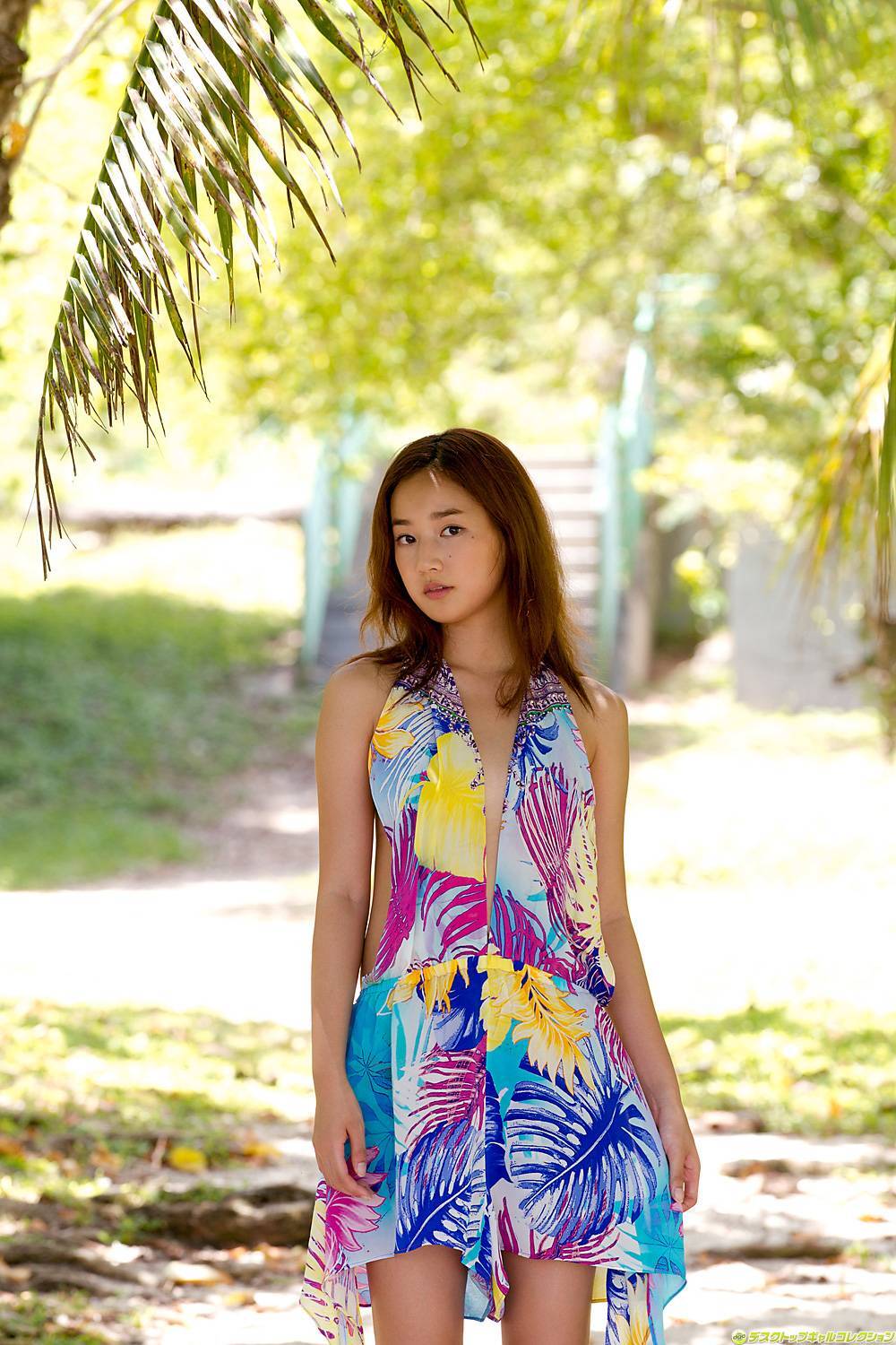 高嶋香帆 Kaho Takashima [DGC]2011年11月號 No.982  日本唯美写真